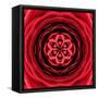 Red Concentric Flower Center: Mandala Kaleidoscopic Design-tr3gi-Framed Stretched Canvas