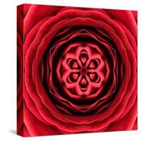 Red Concentric Flower Center: Mandala Kaleidoscopic Design-tr3gi-Stretched Canvas