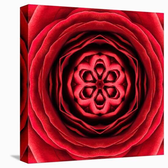 Red Concentric Flower Center: Mandala Kaleidoscopic Design-tr3gi-Stretched Canvas