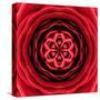 Red Concentric Flower Center: Mandala Kaleidoscopic Design-tr3gi-Stretched Canvas