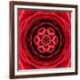 Red Concentric Flower Center: Mandala Kaleidoscopic Design-tr3gi-Framed Art Print