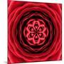 Red Concentric Flower Center: Mandala Kaleidoscopic Design-tr3gi-Mounted Art Print