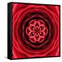 Red Concentric Flower Center: Mandala Kaleidoscopic Design-tr3gi-Framed Stretched Canvas