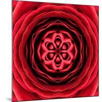 Red Concentric Flower Center: Mandala Kaleidoscopic Design-tr3gi-Mounted Art Print