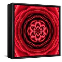 Red Concentric Flower Center: Mandala Kaleidoscopic Design-tr3gi-Framed Stretched Canvas