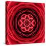 Red Concentric Flower Center: Mandala Kaleidoscopic Design-tr3gi-Stretched Canvas