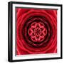 Red Concentric Flower Center: Mandala Kaleidoscopic Design-tr3gi-Framed Art Print