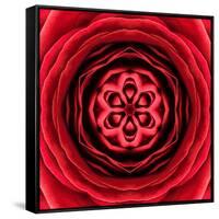 Red Concentric Flower Center: Mandala Kaleidoscopic Design-tr3gi-Framed Stretched Canvas