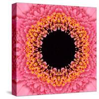 Red Concentric Flower Center: Mandala Kaleidoscopic Design-tr3gi-Stretched Canvas
