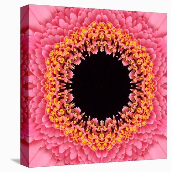 Red Concentric Flower Center: Mandala Kaleidoscopic Design-tr3gi-Stretched Canvas