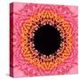 Red Concentric Flower Center: Mandala Kaleidoscopic Design-tr3gi-Stretched Canvas