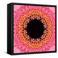 Red Concentric Flower Center: Mandala Kaleidoscopic Design-tr3gi-Framed Stretched Canvas