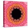 Red Concentric Flower Center: Mandala Kaleidoscopic Design-tr3gi-Stretched Canvas