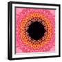 Red Concentric Flower Center: Mandala Kaleidoscopic Design-tr3gi-Framed Art Print