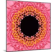 Red Concentric Flower Center: Mandala Kaleidoscopic Design-tr3gi-Mounted Art Print