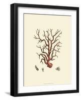Red Coral I-null-Framed Art Print