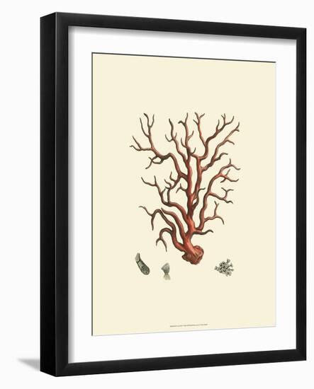 Red Coral I-null-Framed Art Print