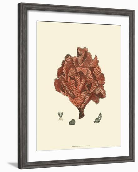 Red Coral IV-null-Framed Art Print