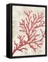 Red Coral Reef I-Eli Jones-Framed Stretched Canvas