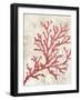 Red Coral Reef I-Eli Jones-Framed Art Print