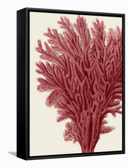 Red Corals 2 a-Fab Funky-Framed Stretched Canvas