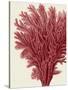 Red Corals 2 a-Fab Funky-Stretched Canvas