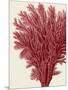 Red Corals 2 a-Fab Funky-Mounted Art Print