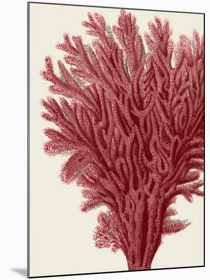 Red Corals 2 a-Fab Funky-Mounted Art Print