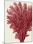 Red Corals 2 a-Fab Funky-Mounted Art Print