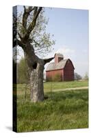 Red Corn Crib in Mid-May, Genoa, Illinois, USA-Lynn M^ Stone-Stretched Canvas