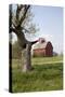 Red Corn Crib in Mid-May, Genoa, Illinois, USA-Lynn M^ Stone-Stretched Canvas