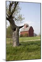 Red Corn Crib in Mid-May, Genoa, Illinois, USA-Lynn M^ Stone-Mounted Photographic Print