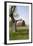 Red Corn Crib in Mid-May, Genoa, Illinois, USA-Lynn M^ Stone-Framed Photographic Print