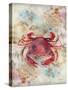 Red Crab-LuAnn Roberto-Stretched Canvas