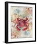 Red Crab-LuAnn Roberto-Framed Art Print