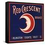 Red Crescent Brand - Riverside, California - Citrus Crate Label-Lantern Press-Framed Stretched Canvas