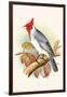 Red Crested Cardinal-F.w. Frohawk-Framed Art Print