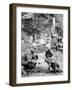 Red-Cross Dog-null-Framed Photographic Print