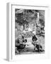 Red-Cross Dog-null-Framed Photographic Print