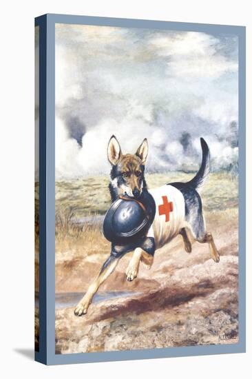 Red Cross Dog-Alexander Pope-Stretched Canvas