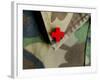 Red Cross on the Collar of a Camouflage Jacket-Winfred Evers-Framed Photographic Print