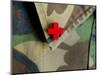 Red Cross on the Collar of a Camouflage Jacket-Winfred Evers-Mounted Photographic Print