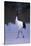 Red-Crowned Crane Walking on Snow-DLILLC-Stretched Canvas