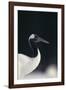 Red-Crowned Crane-DLILLC-Framed Photographic Print