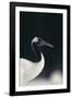 Red-Crowned Crane-DLILLC-Framed Photographic Print