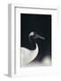 Red-Crowned Crane-DLILLC-Framed Photographic Print