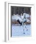 Red-crowned cranes, Hokkaido, Japan-Art Wolfe Wolfe-Framed Photographic Print