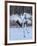 Red-crowned cranes, Hokkaido, Japan-Art Wolfe Wolfe-Framed Photographic Print