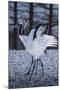 Red-crowned cranes, Hokkaido, Japan-Art Wolfe Wolfe-Mounted Photographic Print