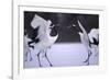 Red-Crowned Cranes in Courtship Display-DLILLC-Framed Photographic Print